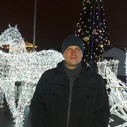 ����, ��������, 41 ���