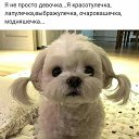 ���� �����, ����, 43 ���� - ��������� 28 ������� 2020 � ������ ���� ����������