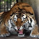  ,  -  7  2020   07.12.2020...   ..