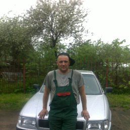 ���� ��������, �����-���������, 46 ���