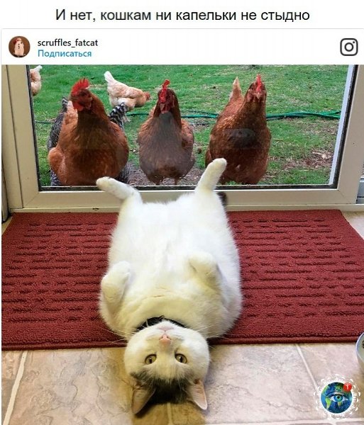 10 p oa e ao oo, o  e e ocaee.)  paa. - 8