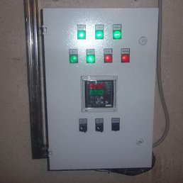 ���� ���������, �����, 55 ��� - ��������� 2 ������� 2020