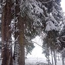���� ���������, ������ - ��������� 2 ������� 2021 � ������ ���� ����������