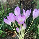 ���� ������, ������, 64 ���� - ��������� 12 �������� 2020 � ������ ���� ����������