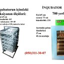 ���� Alik, ����, 56 ��� - ��������� 16 ������� 2021 � ������ ������ ��������