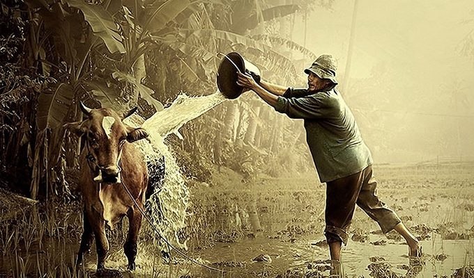 Притча о Будде и фермере с 83 проблемами.Однажды фермер пришел к Будде в надежде, что учитель ...