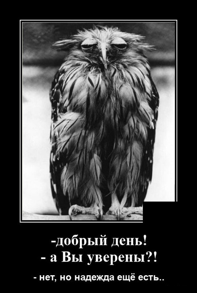 ***Victoria Viktorovna*** - 9  2020  03:56