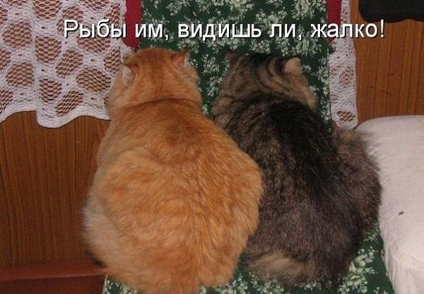   - 3  2021  22:42