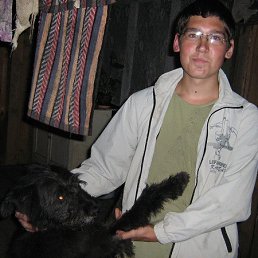 ���� ���������, �����, 34 ���� - ��������� 7 �������� 2020