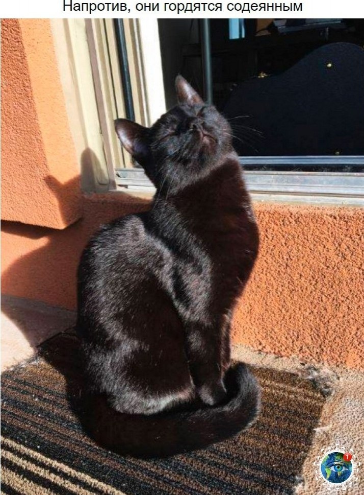 10 p oa e ao oo, o  e e ocaee.)  paa. - 9