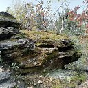  ***L***,   -  20  2020    Ļ