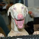 ���� Artem, ������������, 43 ���� - ��������� 18 ����� 2021 � ������ ���� ����������