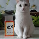 ���� �����, ��������� - ��������� 28 ������� 2020 � ������ ������ ��������