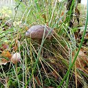 ���� �������, �����-���������, 65 ��� - ��������� 4 ������� 2020 � ������ �3 ������� 2020�