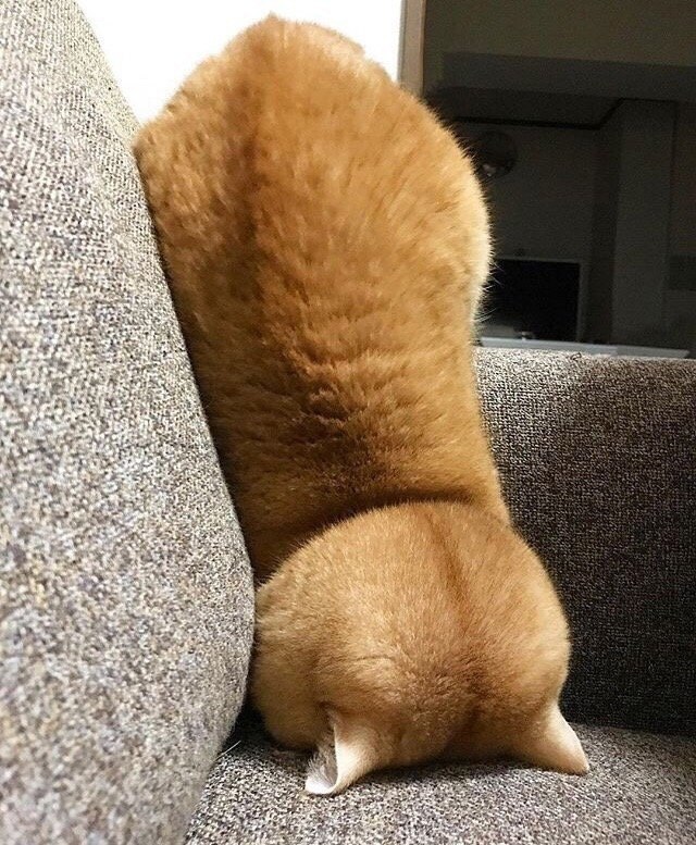    ?      240 ,      ... - 10