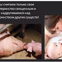 ���� �������, �����������, 51 ��� - ��������� 8 ������� 2020 � ������ ������ ��������