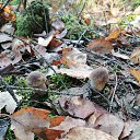 ���� �������, �����-���������, 65 ��� - ��������� 4 ������� 2020 � ������ �3 ������� 2020�