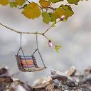 ���� ��������, ���� - ��������� 19 ����� 2021 � ������ ���� ����������