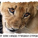  ,  -  7  2020   07.12.2020...   ..