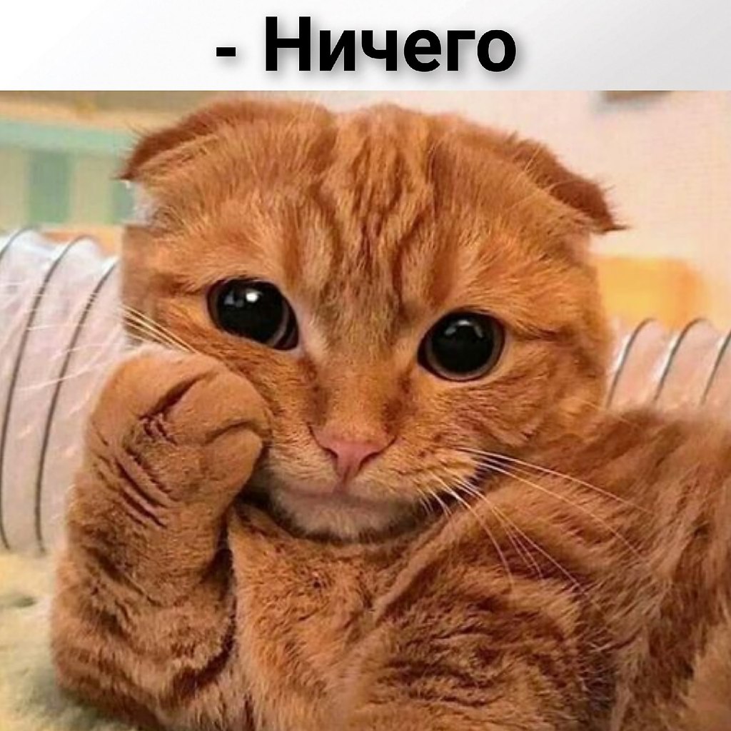       - 8  2021  16:03 - 2