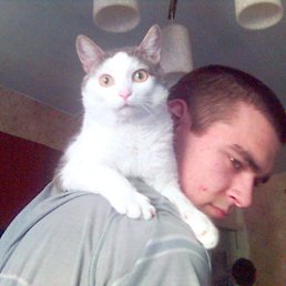 ������, �����������, 39 ���