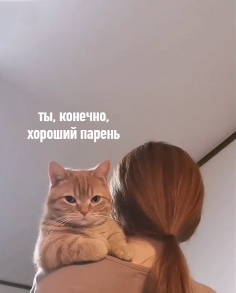  - ,    