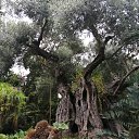 ���� �����, ������ - ��������� 21 �������� 2020 � ������ ���� ����������