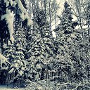 ���� Xacco, ������, 54 ���� - ��������� 19 ����� 2021 � ������ �@photoxacco�