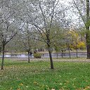 ���� Alexander, �����-���������, 70 ��� - ��������� 4 ������ 2020 � ������ ������ ��������