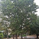 ���� �����, ���������, 55 ��� - ��������� 12 �������� 2020 � ������ ��������� 2020�