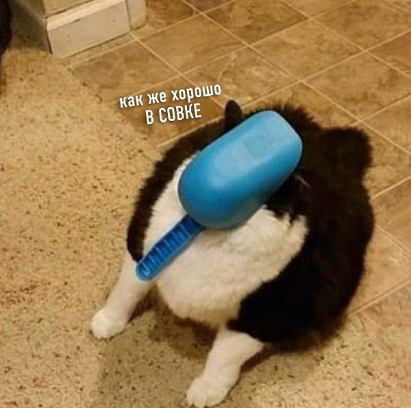     be like
