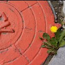 ���� �������, ����������, 53 ���� - ��������� 24 ������ 2020 � ������ ���� ����������