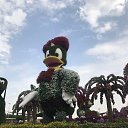 ���� �������, ���������� - ��������� 1 ������� 2021 � ������ ���� ���� ������