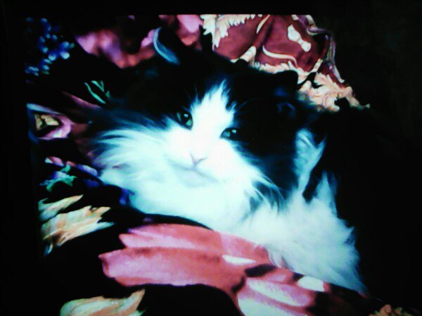 ����� - 23 ������� 2020 � 11:20