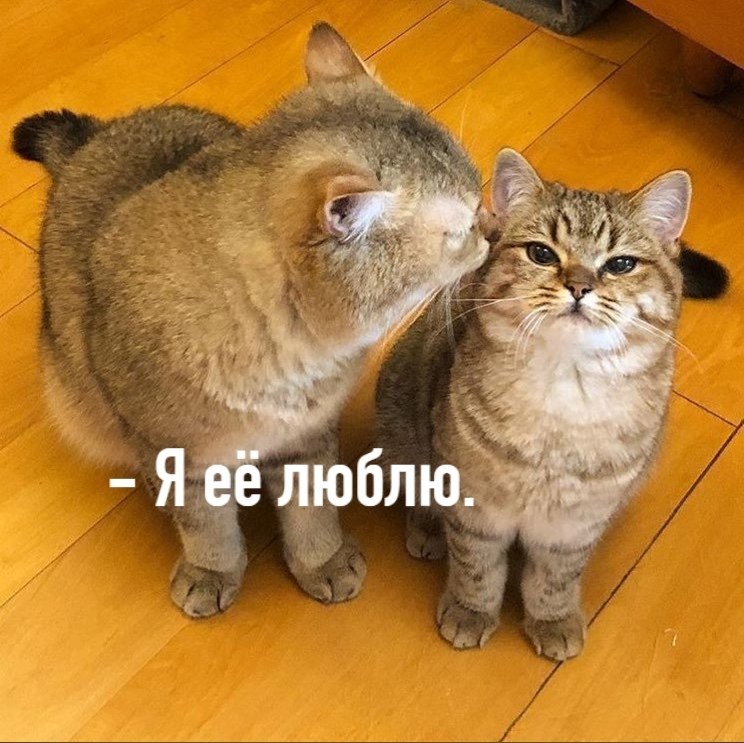 ��� ���� � ����� �� �� - 14 �������� 2020 � 18:42 - 3
