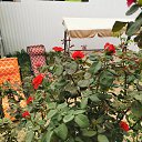 ���� ������, ����� - ��������� 4 ������� 2020 � ������ ������������