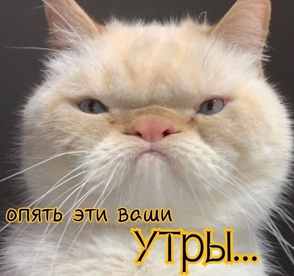 ***Victoria Viktorovna*** - 15  2021  04:58