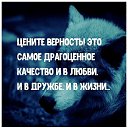 ���� ����, ��������, 37 ��� - ��������� 19 ����� 2021 � ������ ������ ��������