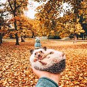 ���� ������, �����-��������� - ��������� 10 ������ 2020 � ������ ������ ��������