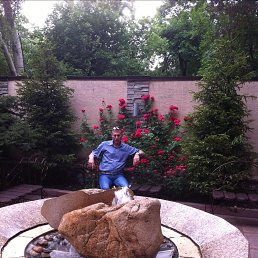 ������, ������, 56 ���