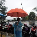 ���� �����, ��������, 59 ��� - ��������� 16 �������� 2020 � ������ ���� ����������