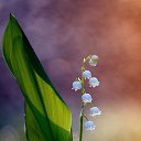 ���� ������, ������������ - ��������� 24 �������� 2020 � ������ ��������