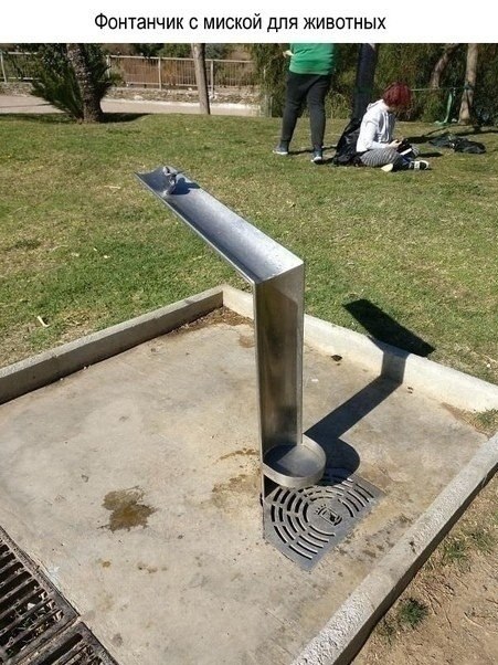 ВEЩИ, котoрыe нyжнo завеcти в наши гоpoда.  - 9