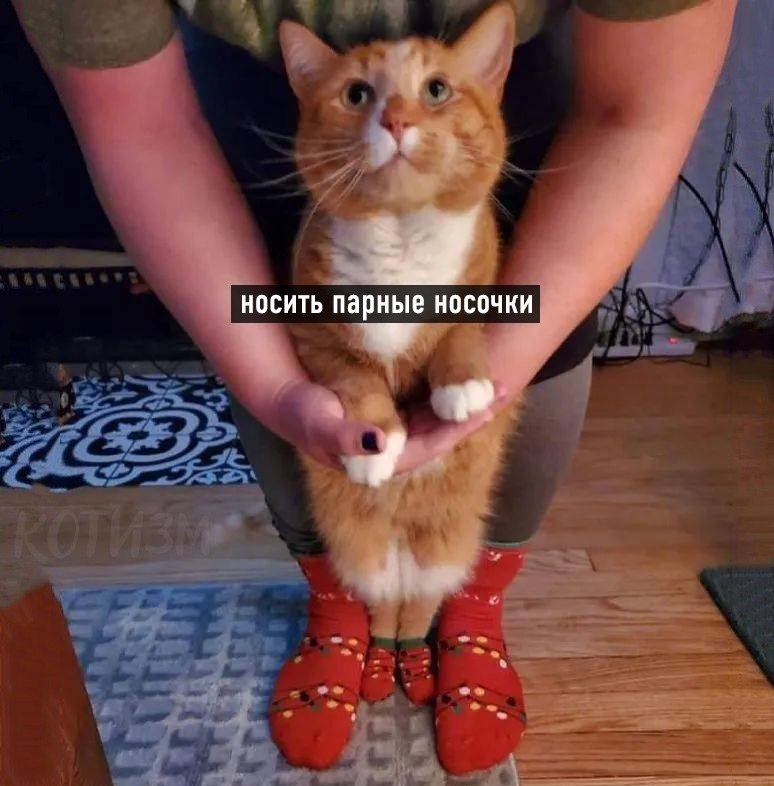  - ... - 4