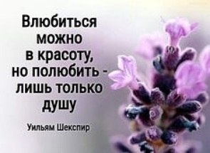   ! - 10  2020  14:15