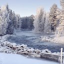 ���� ��������, ������� - ��������� 26 ������ 2020 � ������ ���� ����������