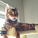  ,  -  7  2020   07.12.2020...   ..