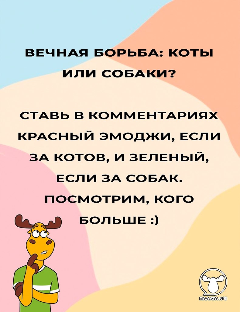#����������@pn6