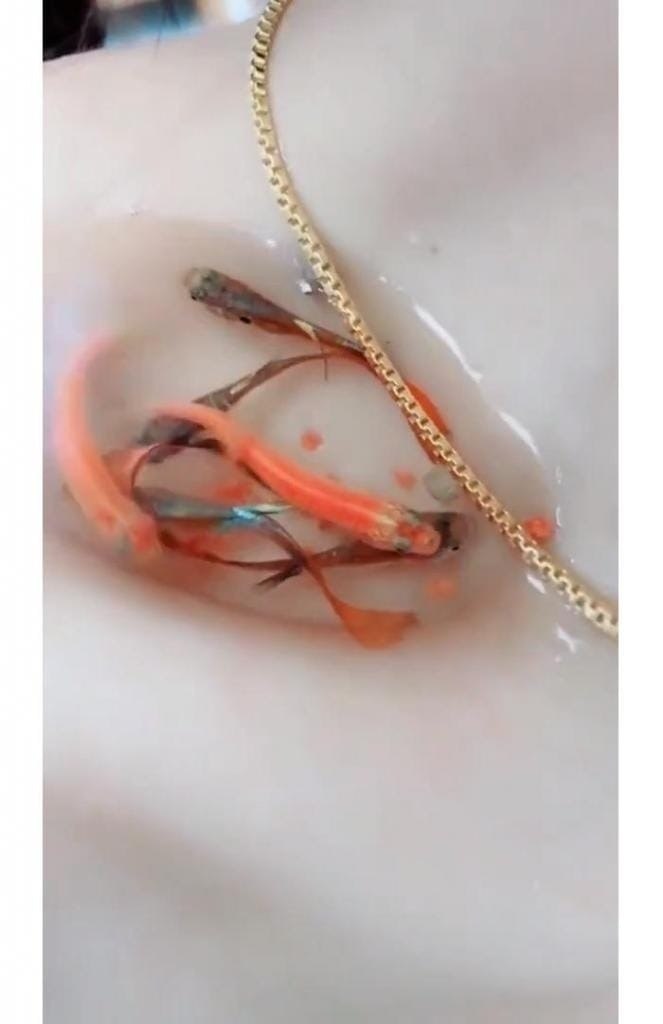 Coae  axaae  -  Ka: , acoo  , yepa   ... - 4