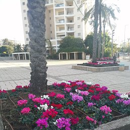 ���� ������, ����-����, 57 ��� - ��������� 25 ������ 2021